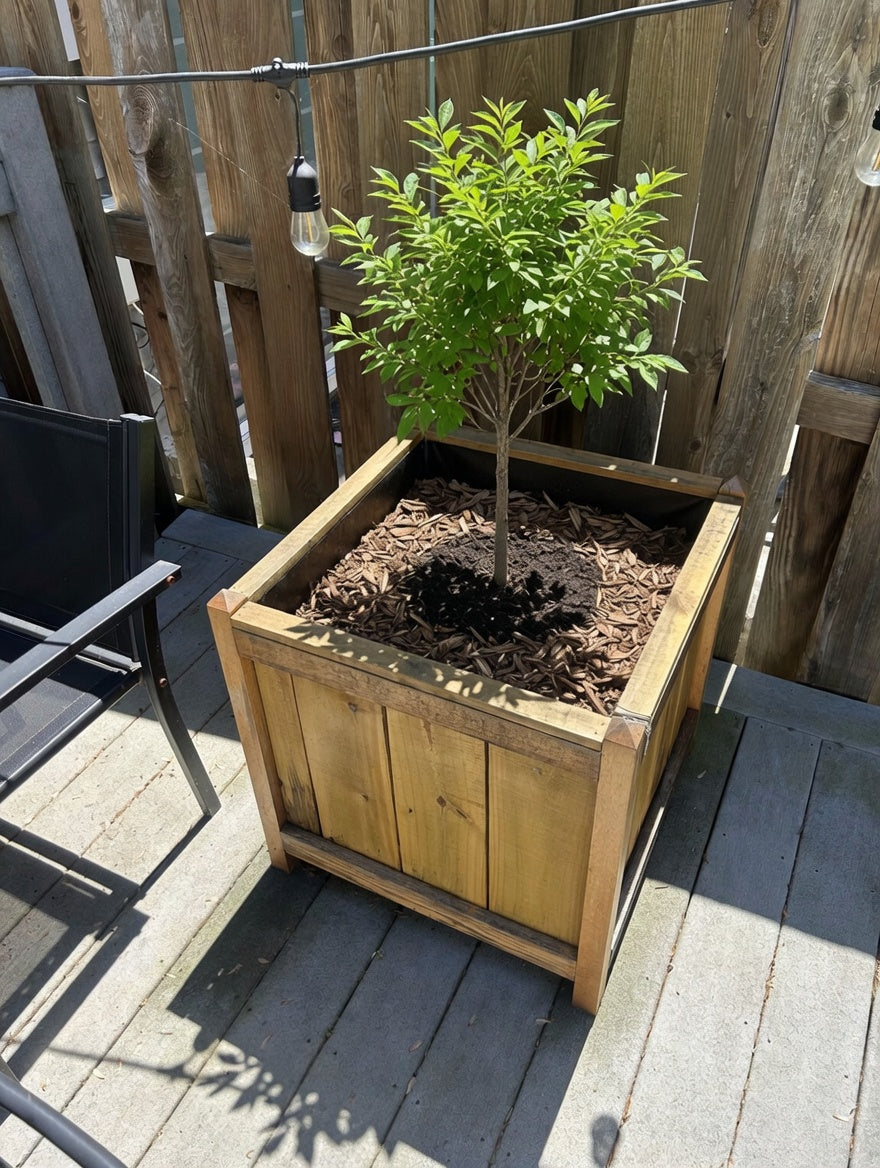 Planter Stand